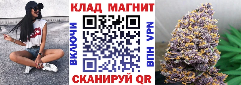 Купить закладку Гашиш  Альфа ПВП  Codein  Cocaine  МЕФ  Северск